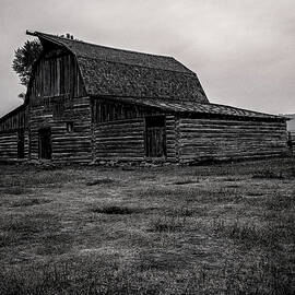 Quiet Grain  Mormon Row in Selenium Tones by Robert Niemeier