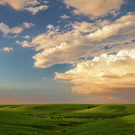 Quiet on the Prairie by Scott Bean