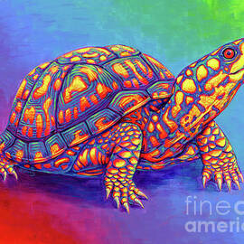 Rainbow Eastern Box Turtle by Rebecca Wang