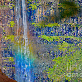 Rainbow in a Waterfall Hawaii by Debra Banks