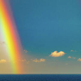 Rainbow in the Caribbean by Tommy Farnsworth