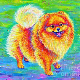 Rainbow Pomeranian by Rebecca Wang