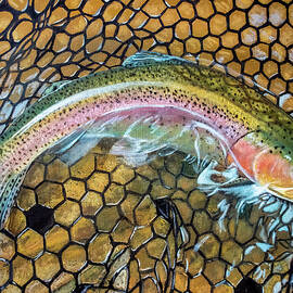 Rainbow Release by Mark Ray