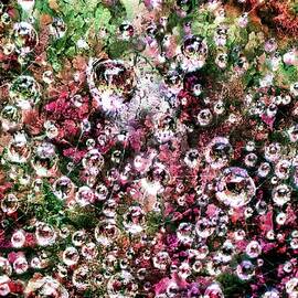 Raindrops in a spiderweb with tree lichen background by Bruce Block