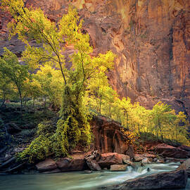 Ramped Up by Slow Fuse Photography