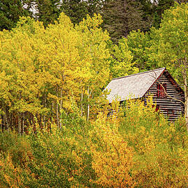 Ranger Station in an Aspen Grove by Richard DeYoung