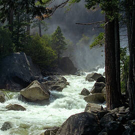 Rapids Amidst Lush Forest