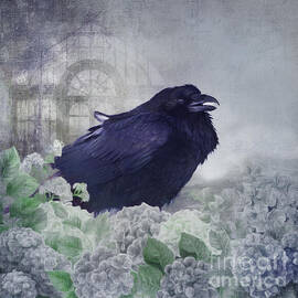 Raven in a Misty Garden by Priska Wettstein