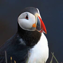 Ready for my close-up by Christopher Mathews