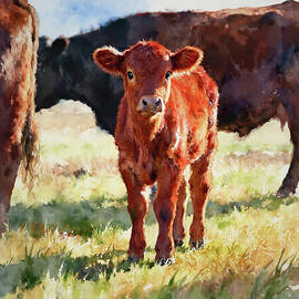 Red Angus Calf Study B In Watercolor Jigsaw Puzzle by Olde Time