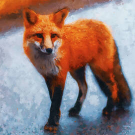 Red Fox - 04 by AM FineArtPrints
