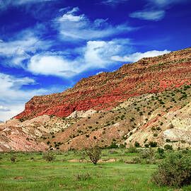 Red Mesa by Howard Holley