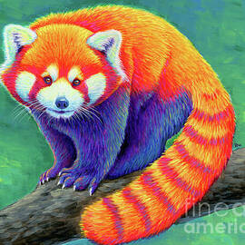 Red Panda Rainbow by Rebecca Wang