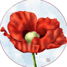 Red Poppy Flower Print - Vibrant Botanical Wall Art, August Birth Flower by Snow Iris Studio