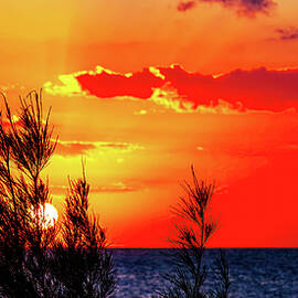 Red sky at night by Tatiana Travelways