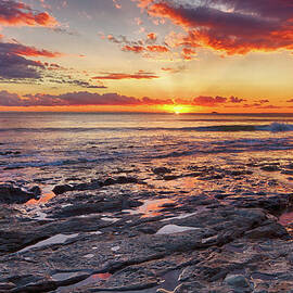 Red Tide Pools by Beth Sargent