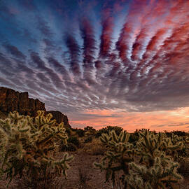 Red, White, Blue over Lost Dutchman by Matt Halvorson