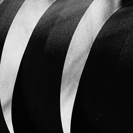 Redstone Shadows by Jeff Sinon