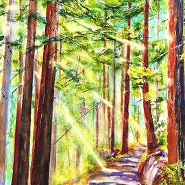Redwood Forest Path  by Carlin Blahnik CarlinArtWatercolor