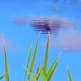 Reflection in a Tranquil Pond by Bruce Block