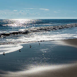 Reflection on the Sea by Louis Dallara