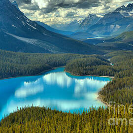 Reflections In The Peyto Lake Valley by Adam Jewell