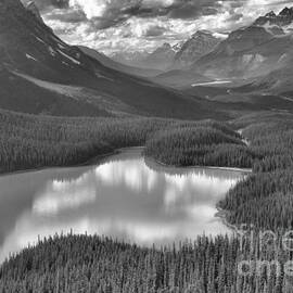 Reflections In The Peyto Lake Valley Black And White by Adam Jewell