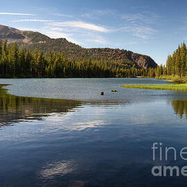 Reflections of a dreamy day by Abigail Diane Photography