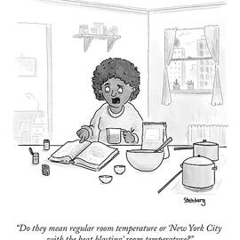 Regular Room Temperature by Avi Steinberg