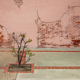 RESOLUTE hugo OK 27A by Sally Fuller