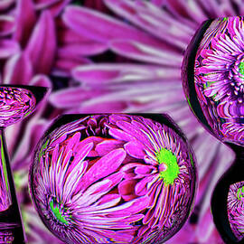 Restricted Space by Elvira Peretsman