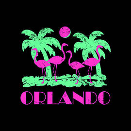 Retro Orlando Florida by Flippin Sweet Gear