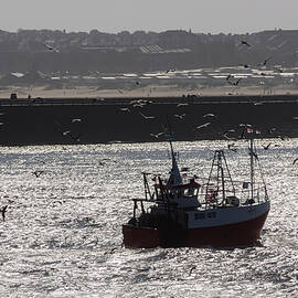 Return to Harbour by Francisco Ruiz Navas