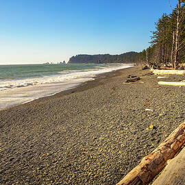 Rialto Beach with driftwood and sea stacks in Washington State by Miroslav Liska