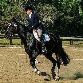 Rider in a horse show by Louis Dallara