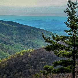 Ridge-and-Valley Appalachians by Louis Dallara