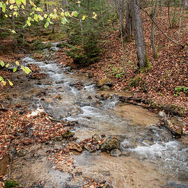 River Flowing through an Autumn-Coloured Forest by John Twynam