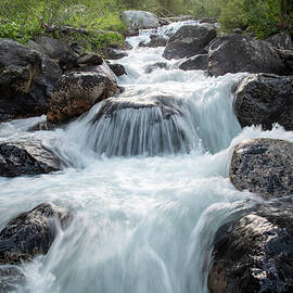 River in Grand Teton National Park-2 by Diane Moller