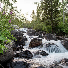 River in Grand Teton National Park by Diane Moller