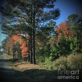 Road to Somewhere by Catherine Wilson