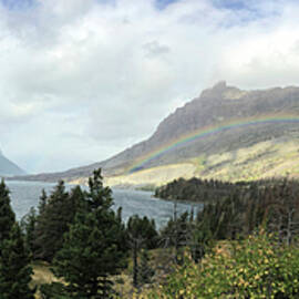 Robert's Rainbow by Other