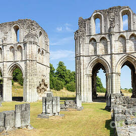 Roche Abbey ruins of an English Cistercian monastery near Maltby, South Yorkshire, England, UK by Neale And Judith Clark
