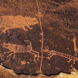 Rochester Panel Beasts 2, Utah by Abbie Matthews