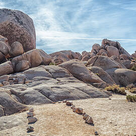 Rock Path by Alison Frank