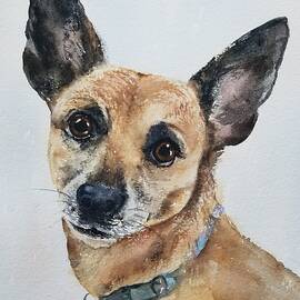 Rocky by Amanda Amend