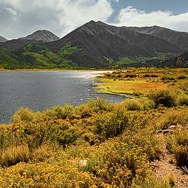 Rocky Mountain Summer at Blue Lake by Ron Long Ltd Photography