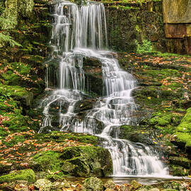 Rollo Fall #5092 by Dan Beauvais