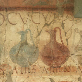 Roman Frescoes by Pasquale Sorrentino / Science Photo Library