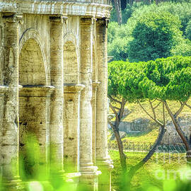 Rome and Italy Landmark - Colosseum Closeup Windows by Stefano Senise