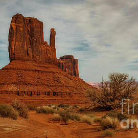 Rooted in Red Earth by Dodie Ross